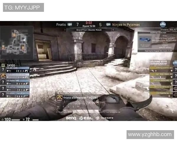 CSGO纪实记录V5战队的荣耀与挑战之路全景回顾